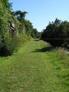 Grassy Ramp, 2007