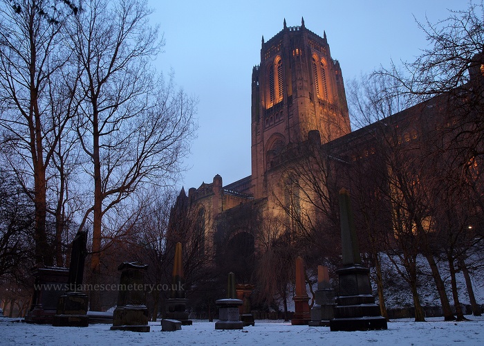 Gardens and Liverpool Cathedral, 2013 - gardens-and-cathedral-2013.jpg