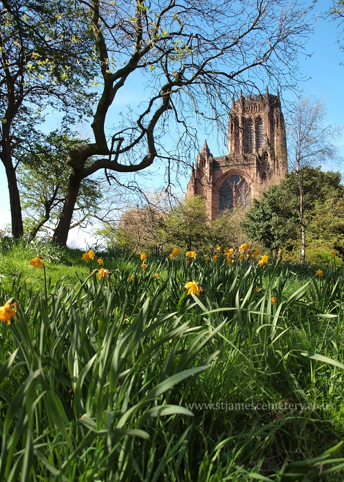 St James' Mount & Liverpool Cathedral, 2013 - mount-and-cathedral-2013.jpg