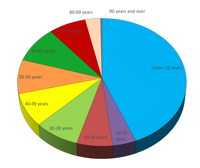 pie-chart-age.png